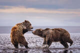 Squaring Up