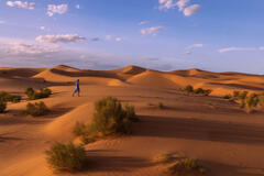 New Blog Post Is UP! 10 Days Photographing Morocco's Vibrant Beauty