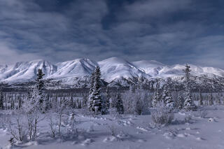 Moonlight illuminates a winter landscape, casting shadows across snow-covered mountains and trees, creating a serene, peaceful scene.