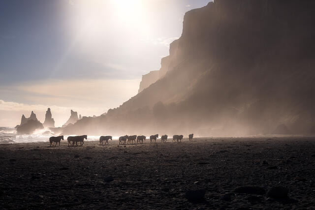 Iceland in Pictures 