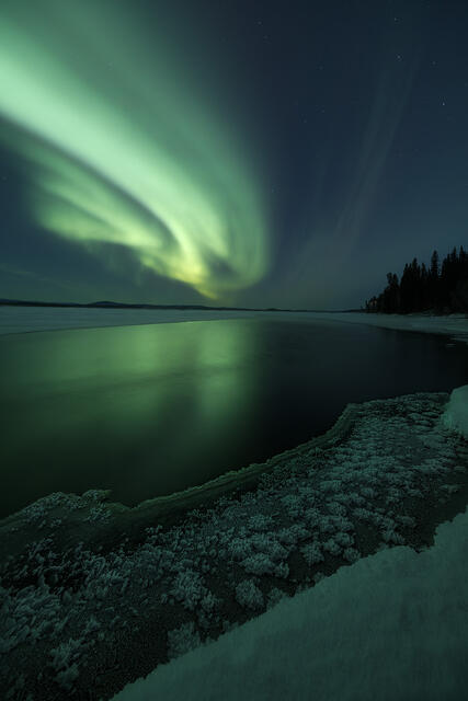 Green aurora borealis reflecting in still water with hoarfrost foreground, Alaska