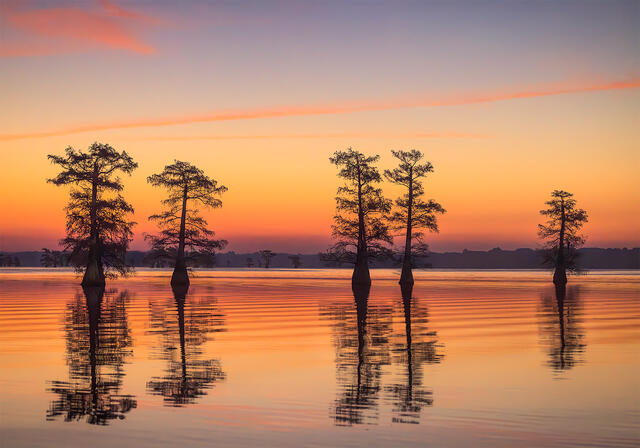 Still Reflections print