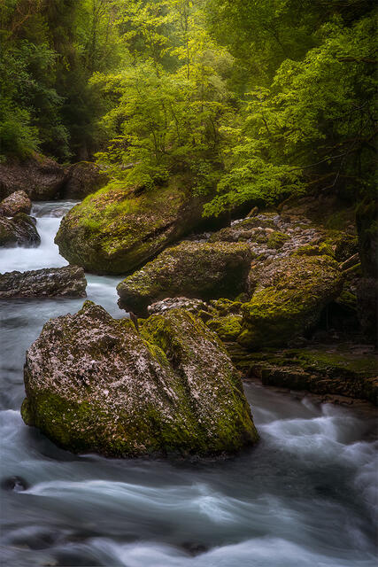 Forest spotlight with golden light, turquoise water and moss boulders, Dranse River French Alps France