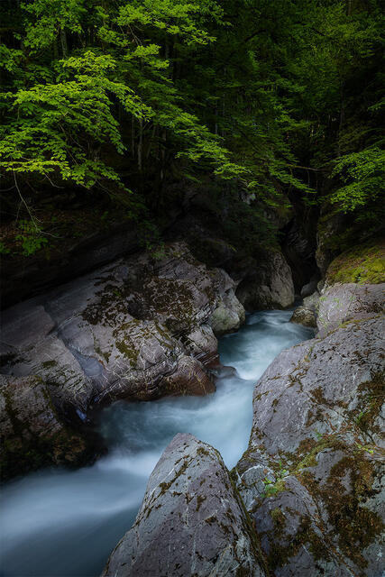 Dramatic narrow slot gorge with silky long exposure turquoise glacial water flowing through massive rock formations beneath green forest, Dranse River.