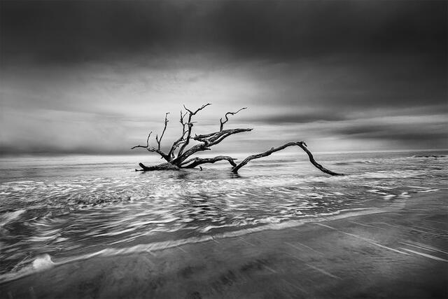 Dramatic black and white long exposure of sculptural driftwood tree in flowing ocean water under moody storm sky at Driftwood Beach Jekyll Island Georgia