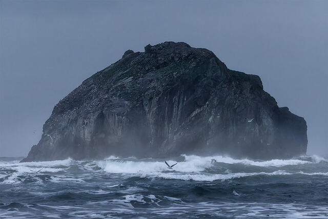 Dramatic Face Rock monolith rising from stormy Pacific Ocean with crashing waves and seabirds under moody blue sky at Bandon Beach Oregon coast
