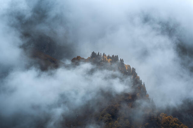 Minimalist atmospheric view of forested Alpine ridge with autumn trees catching golden light emerging from swirling blue-gray clouds in the French Alps France