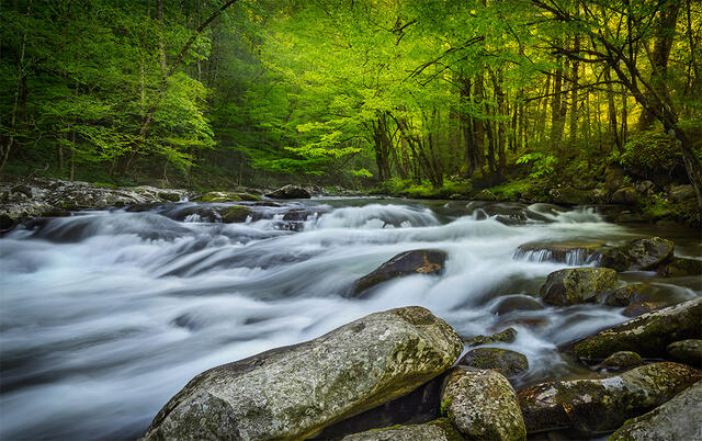Morning Cascades print