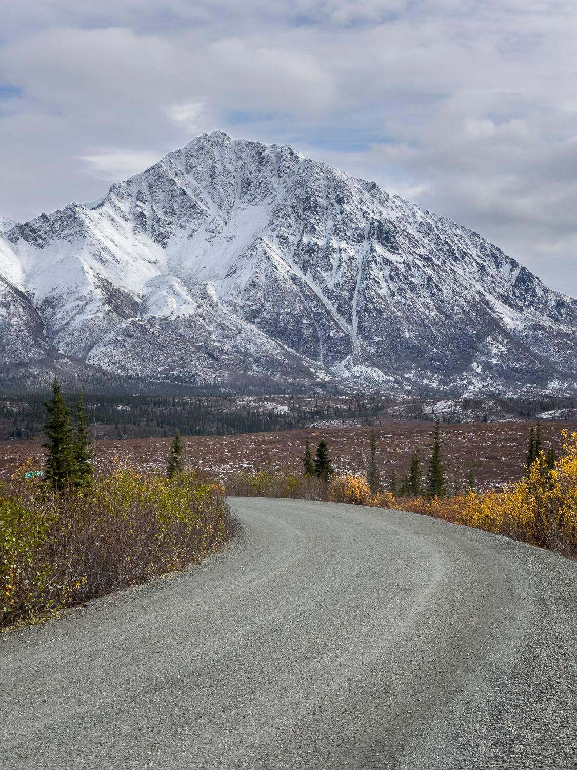 Scenic Alaskan landscape showcasing vibrant fall foliage and rugged terrain during a photography workshop. The image features a mix of golden autumn colors, rolling hills, and distant snow-capped mountains under a dramatic cloudy sky, capturing the essence of Alaska's natural beauty.