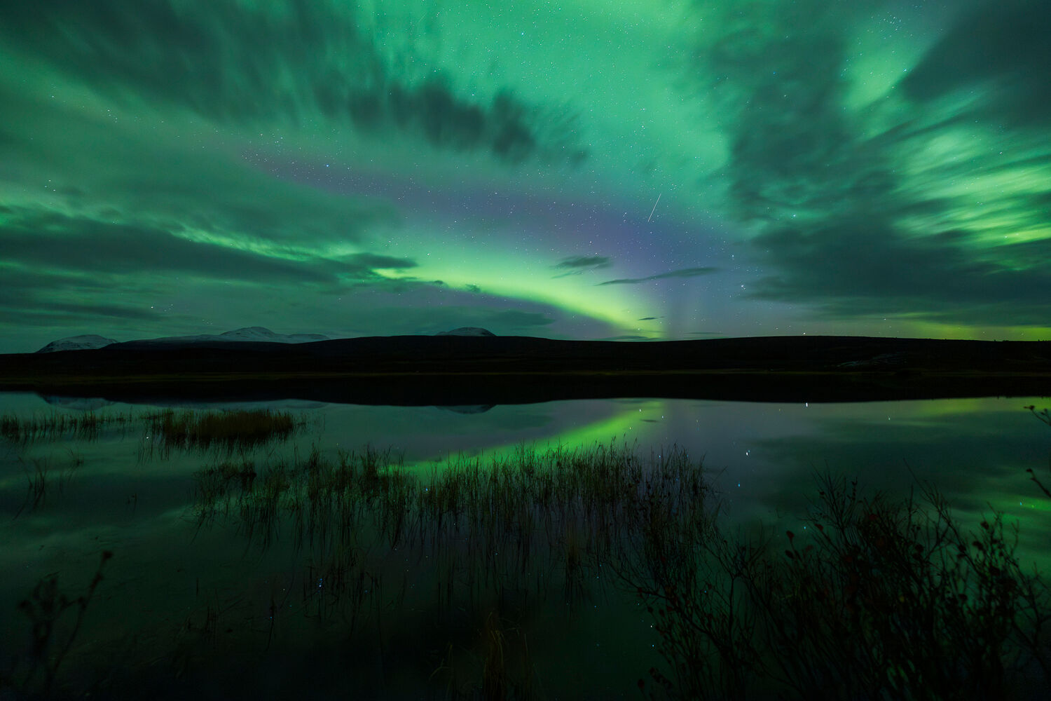 Stunning nighttime view of the Northern Lights reflecting on a calm Alaskan lake during a fall photography workshop. Vibrant green and purple aurora borealis swirls across the starry sky, mirrored perfectly in the water, with silhouetted vegetation framing the serene scene.