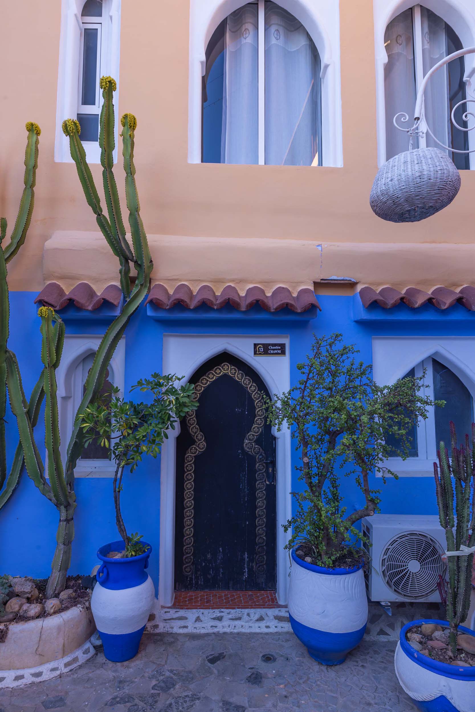 Charming blue and yellow building in Chefchaouen, adorned with potted plants, a large cactus, and a beautifully decorative door.