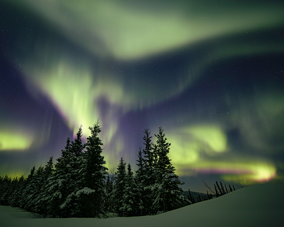 Colorful northern lights above snow-covered trees under a starry sky.