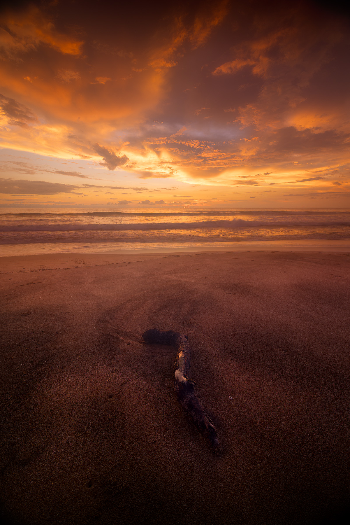 A warm sunset casts golden hues on the water, sandy beach, and driftwood, as the sun lowers toward the horizon, creating a serene scene.