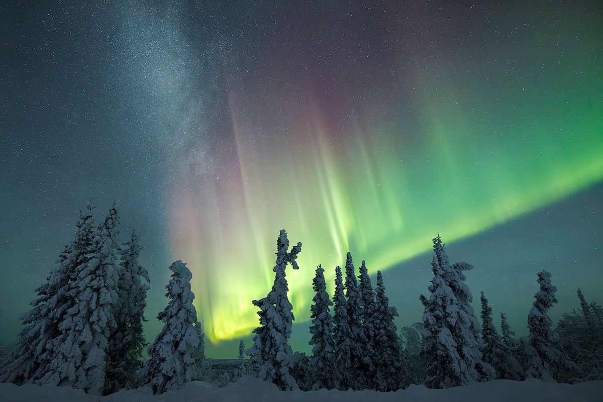 Bright green and purple auroras dance over snow-covered trees under a starry night sky.