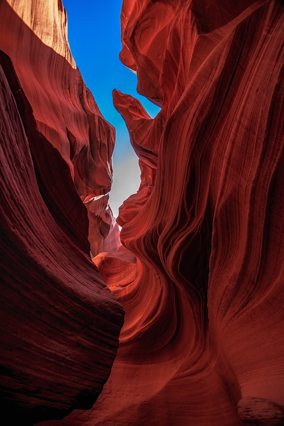 A rock formation in Antelope Canyon resembles a seahorse, with the swirling sandstone curves creating a striking, natural shape.