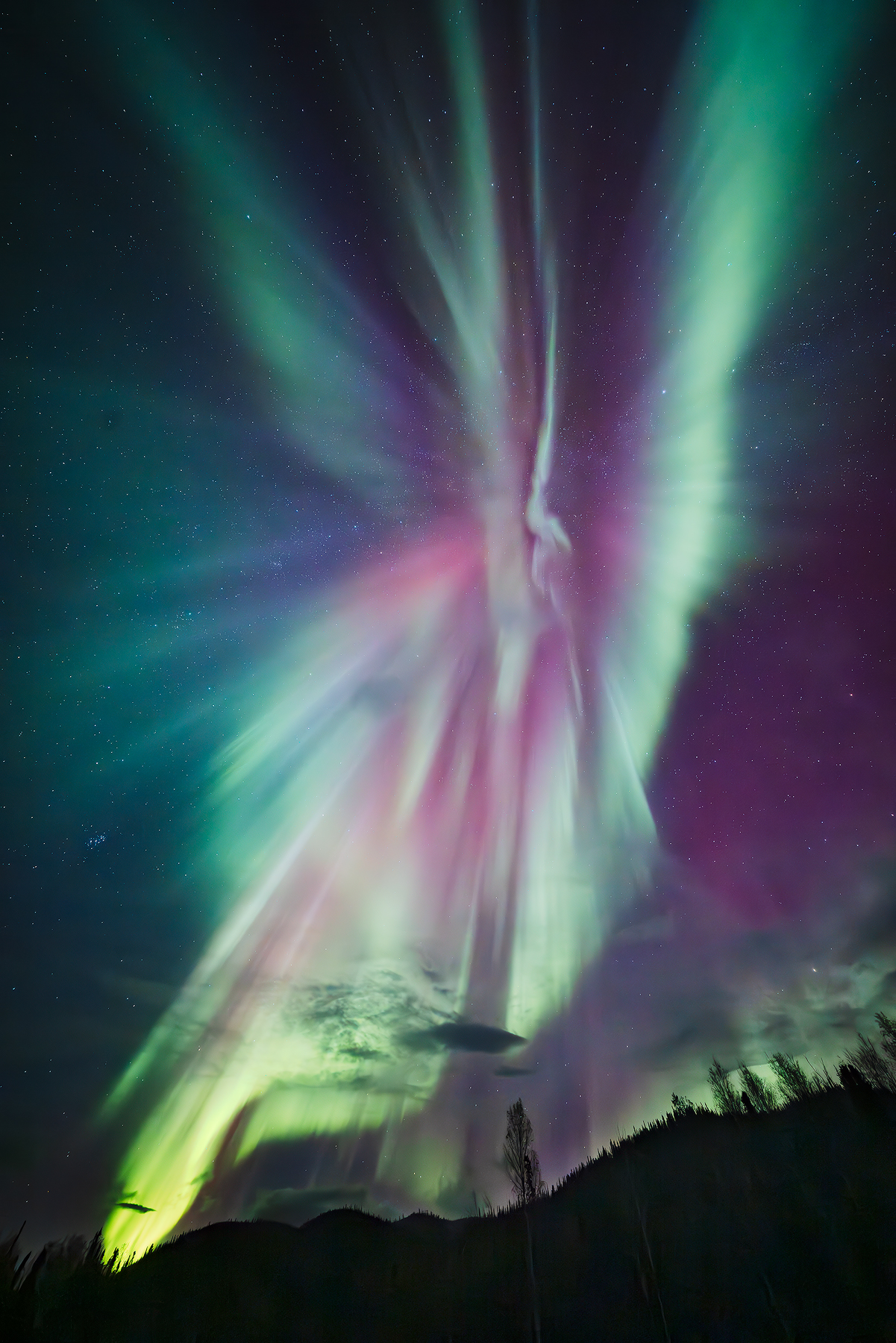 Vivid auroras light up Alaska's fall nights, with green, purple, and blue hues dancing above dark mountain landscapes.