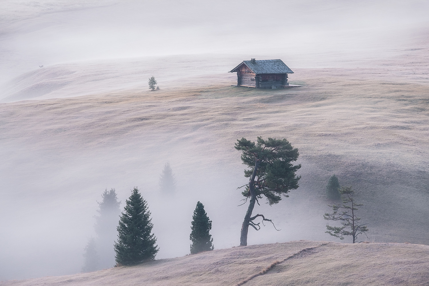 Traditional alpine hut in fog on Alpe di Siusi plateau Italian Dolomites October autumn photography
