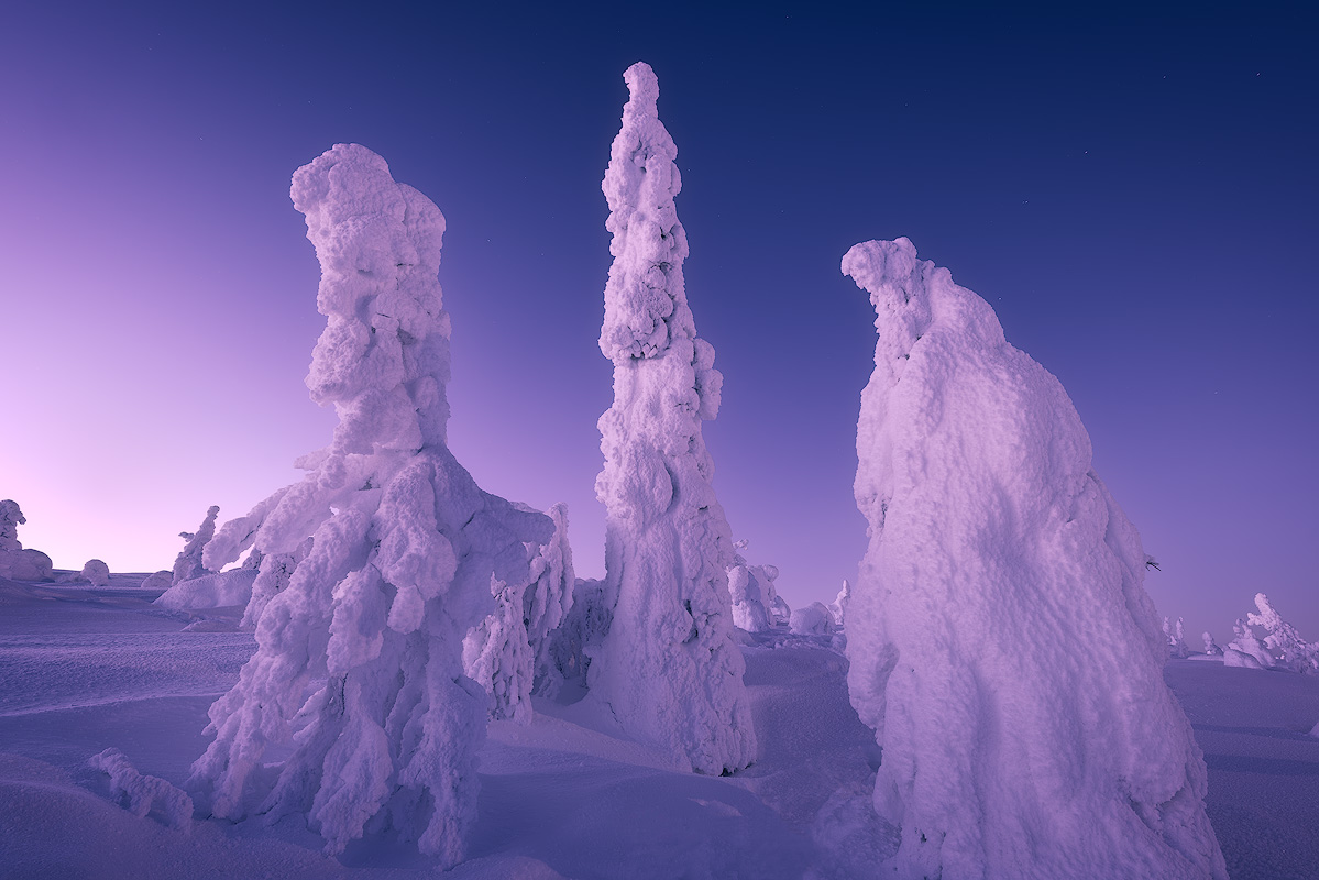 Blue hour twilight landscape photograph with ethereal cool tones demonstrating the mood and atmosphere possible in low light photography