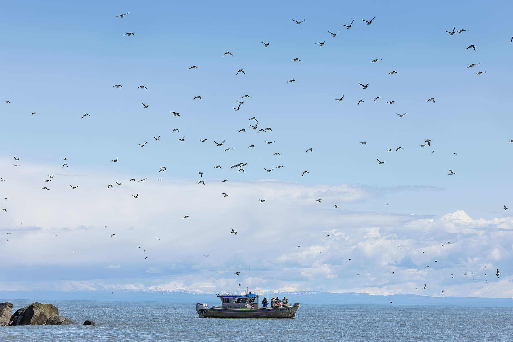 Photographers on the half-day boat trip to the seabird rookeries at Lake Clark National Park &mdash; Alaska bear photography workshop spring boat excursion