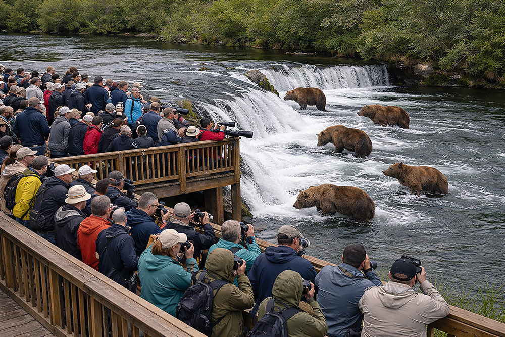 Crowded viewing platform at Brooks Falls in Katmai National Park showing peak July tourist volume