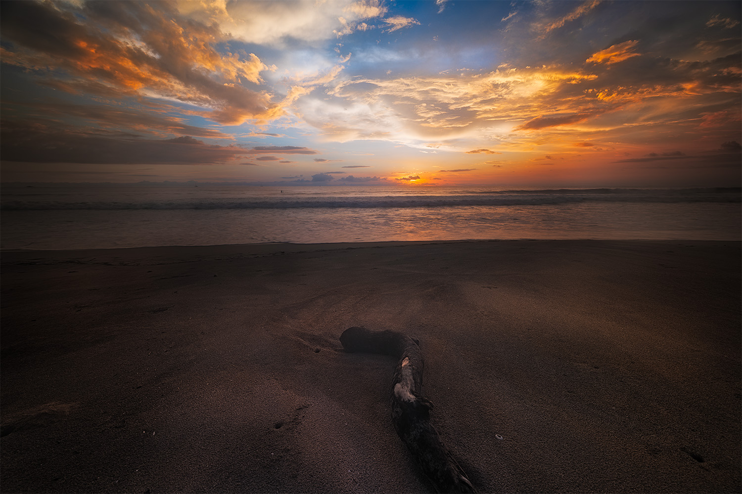 A surfer sits on their board in the ocean at sunset, with driftwood on the shore catching the warm glow of the light.