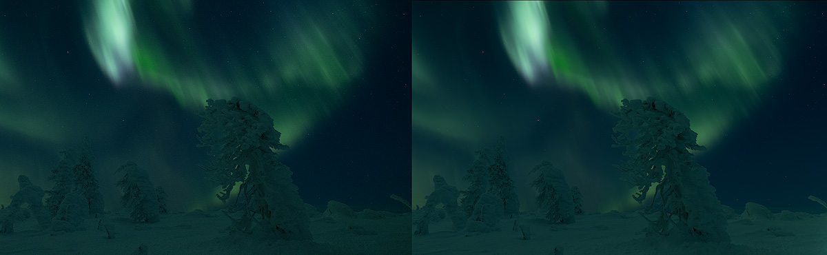 DXO PureRAW Deep Prime noise reducer comparison showing dramatic background noise removal from a high ISO photograph