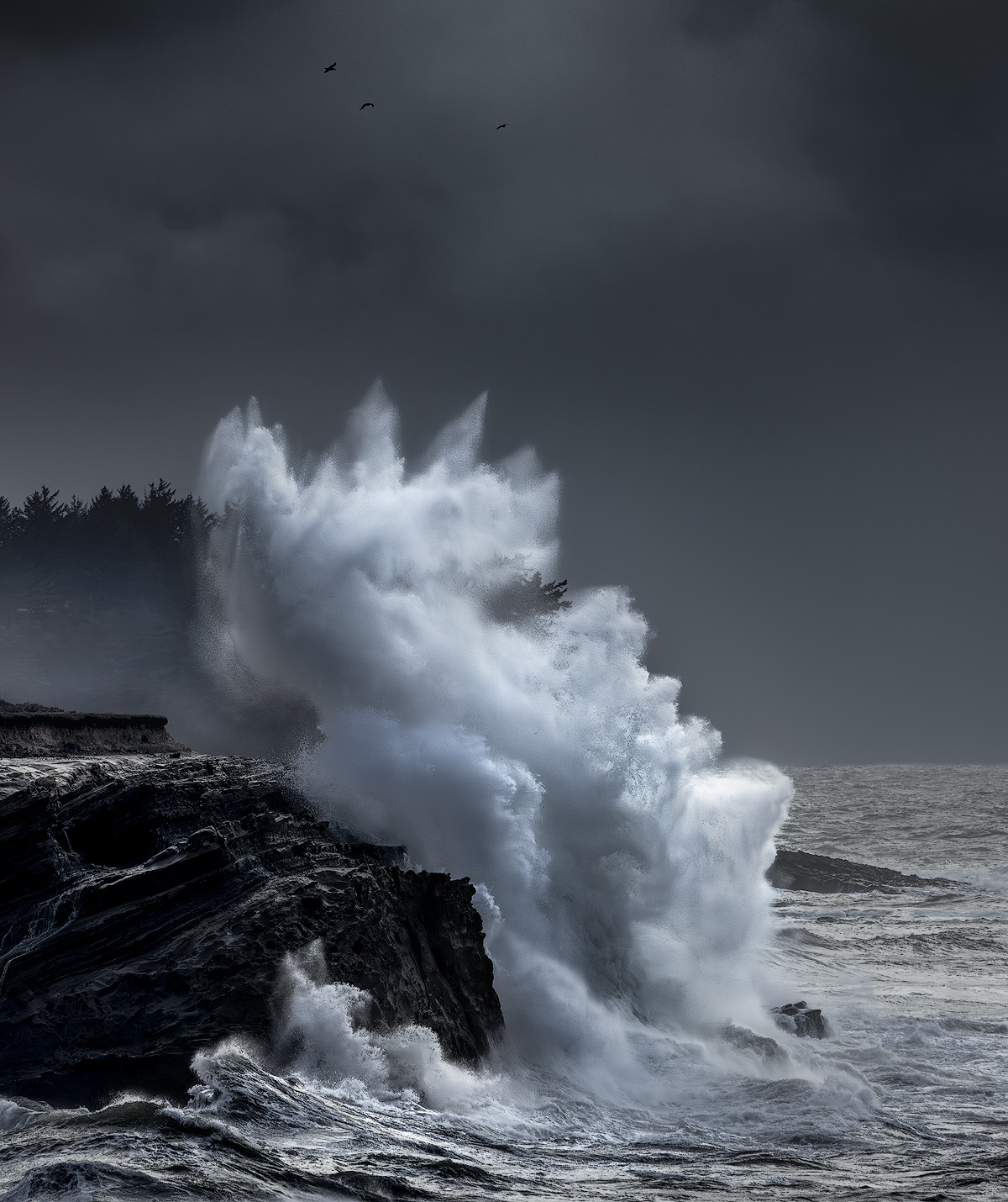Massive wave crashing against coastal rocks at Shore Acres Oregon frozen by a fast shutter speed with spray towering above the cliff and birds flying through storm clouds