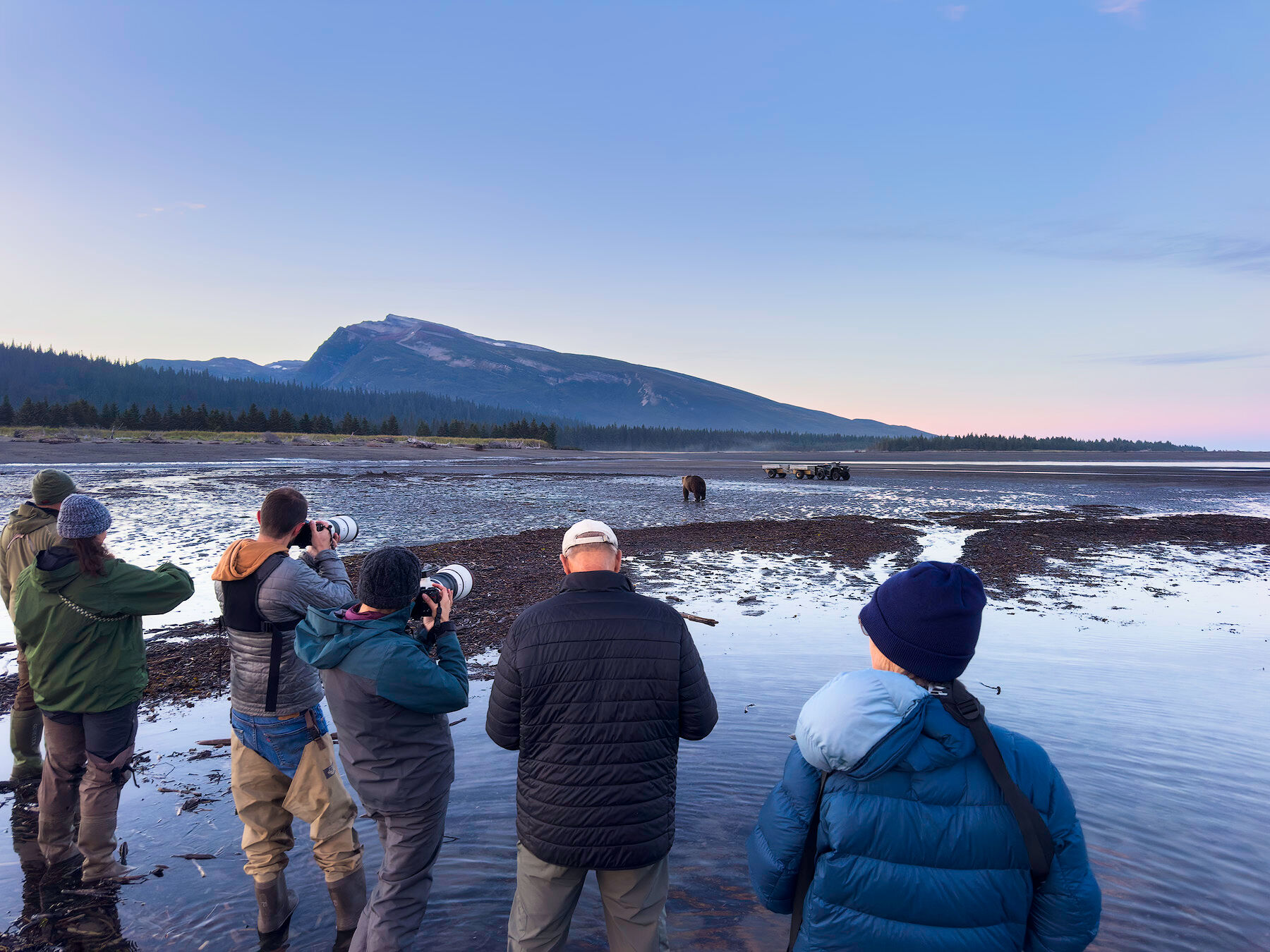 Six photographers with telephoto lenses stand in shallow water on the tidal flats at Silver Salmon Creek in Lake Clark National Park, photographing a coastal brown bear under a pastel sky with a mountain behind them.