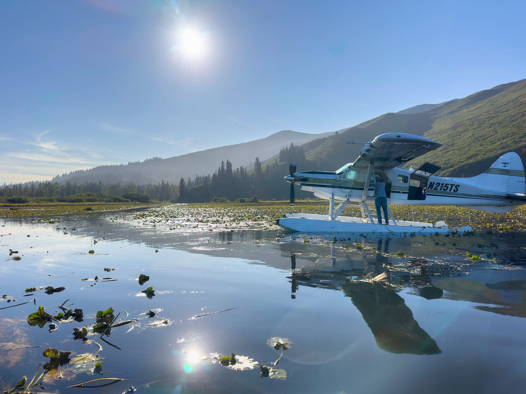 A floatplane sits on a calm lake scattered with lily pads, with a person standing on the float, spruce forest and green hills behind it and the sun high in a blue sky.