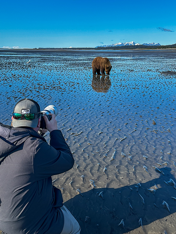 Photographer capturing coastal brown bear on mirror-smooth tidal flats at Lake Clark National Park
