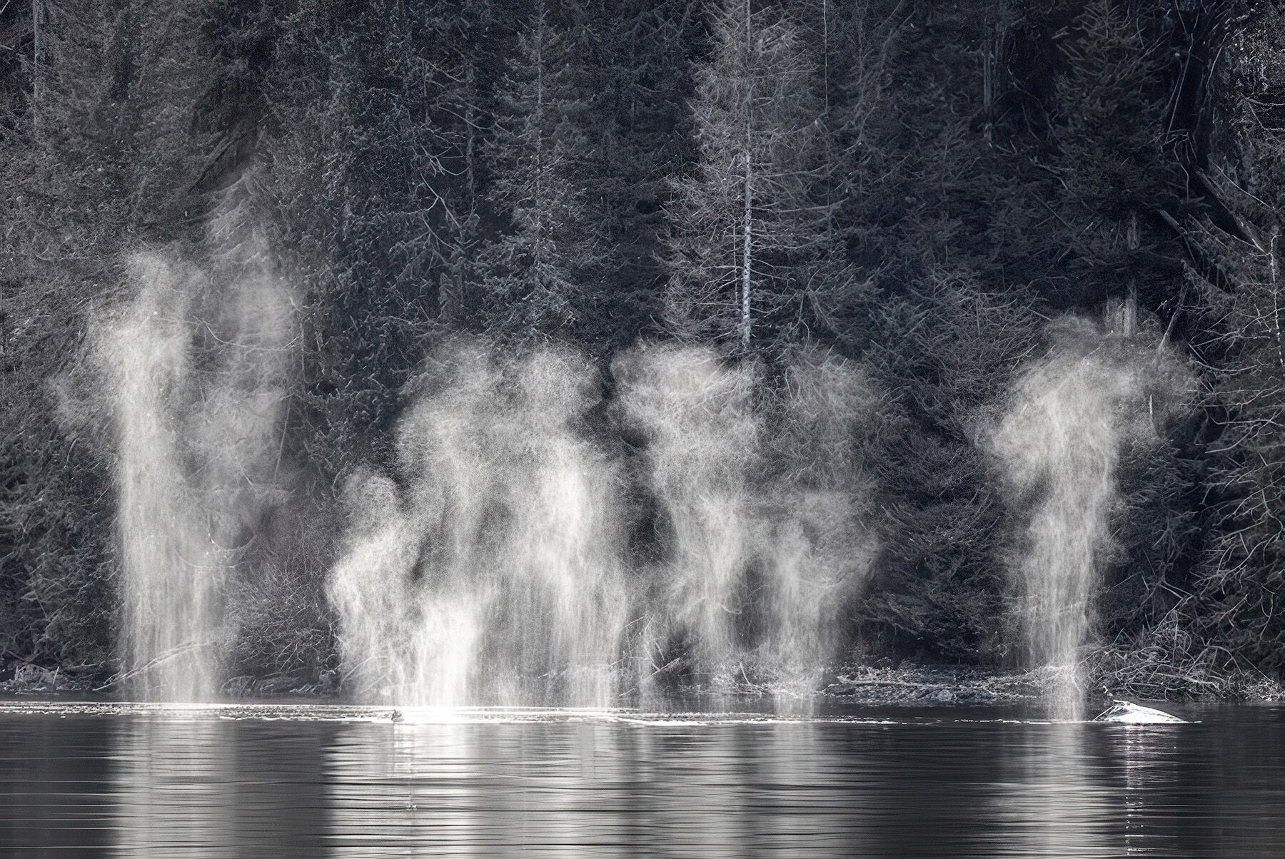 Pod of humpback whales blowing at the surface in Southeast Alaska, photographed from the boat at a distance on a humpback whale photography workshop