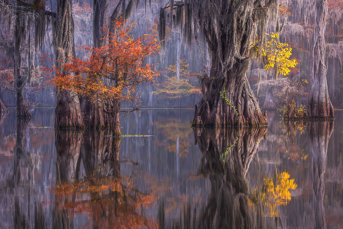 Ancient Caddo Lake cypress trees with vivid fall color and Spanish moss reflected in perfectly still water demonstrating composition light and patience in landscape photography