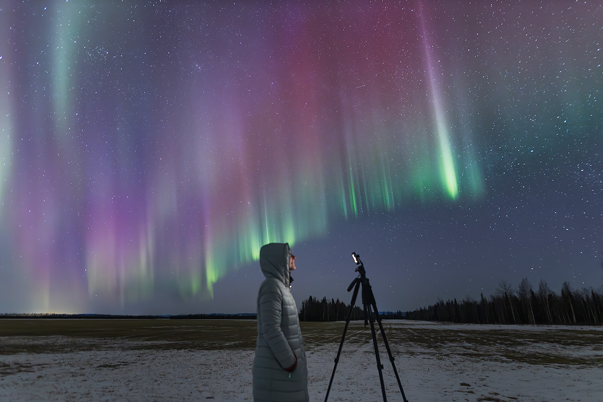 Photographer in white winter parka using iPhone mounted on tripod to photograph green and purple aurora borealis curtains over frozen field with boreal forest in background