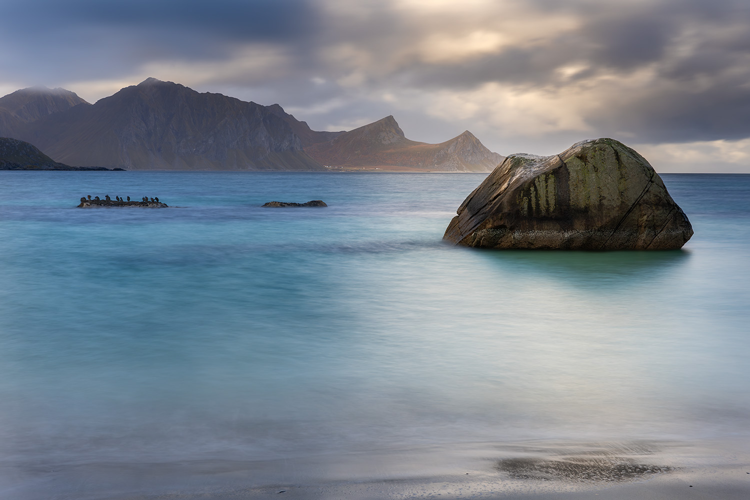 A group of birds rest on a rock with mountains in background as the sun beams down onto the water illuminating a bolder in the Lofoten Islands