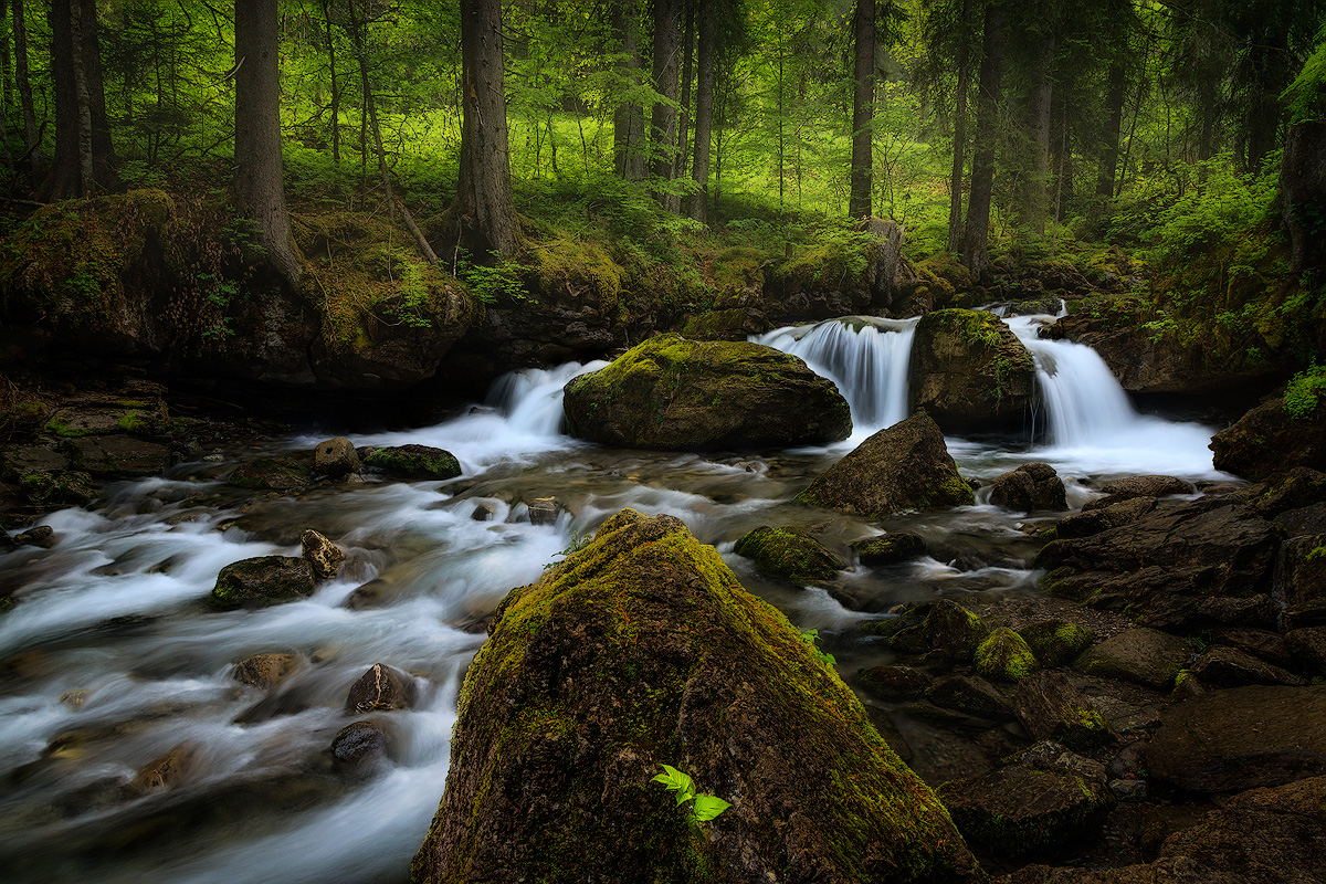 Long exposure forest stream in France with silky smooth water flowing around mossy rocks shot at quarter second shutter speed
