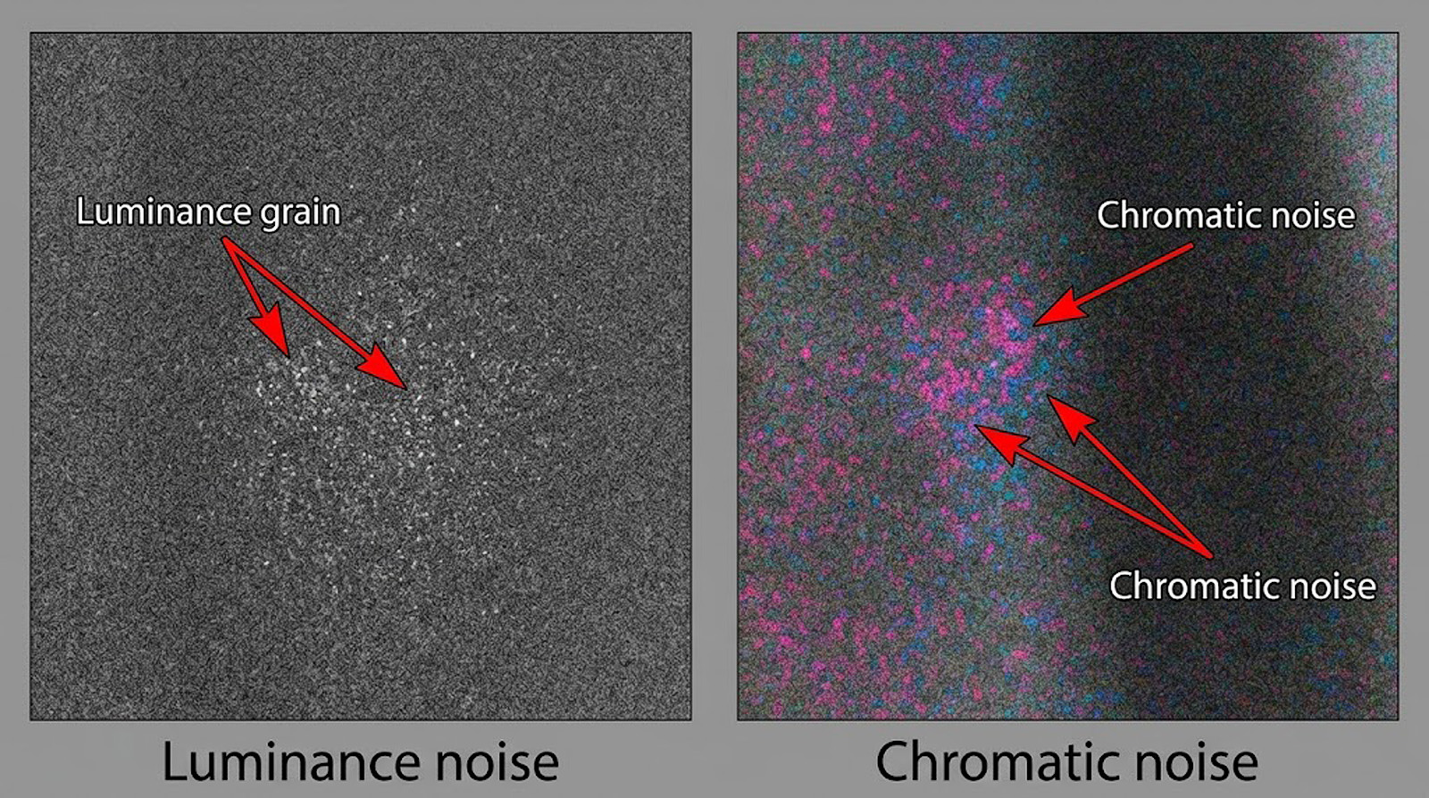 Built infographic &mdash; two-panel comparison with bold labels and arrows. Left panel: luminance grain (monochrome). Right panel: chromatic noise (magenta/cyan speckles).