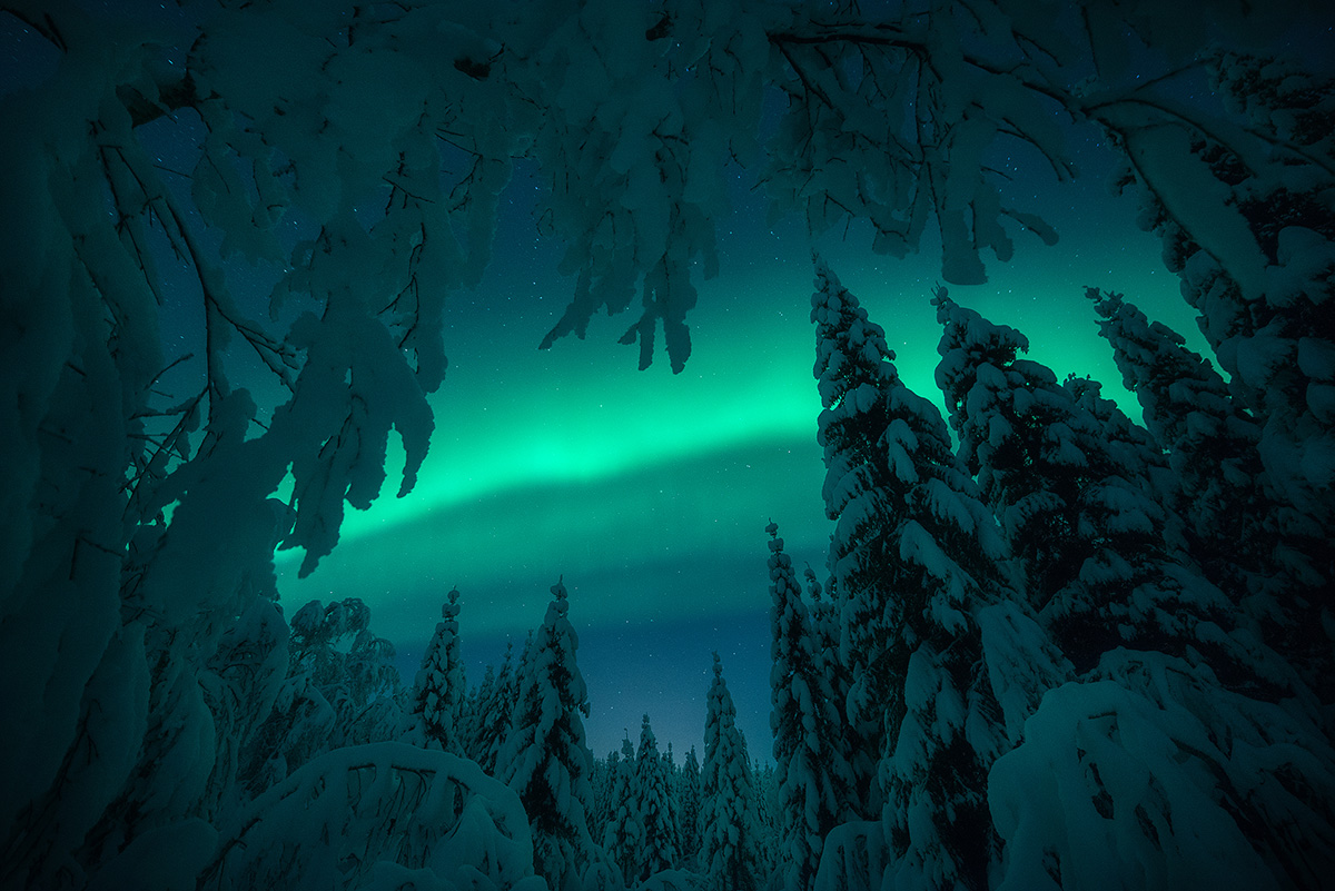 Bright green aurora borealis lighting up the night sky over snowy trees.