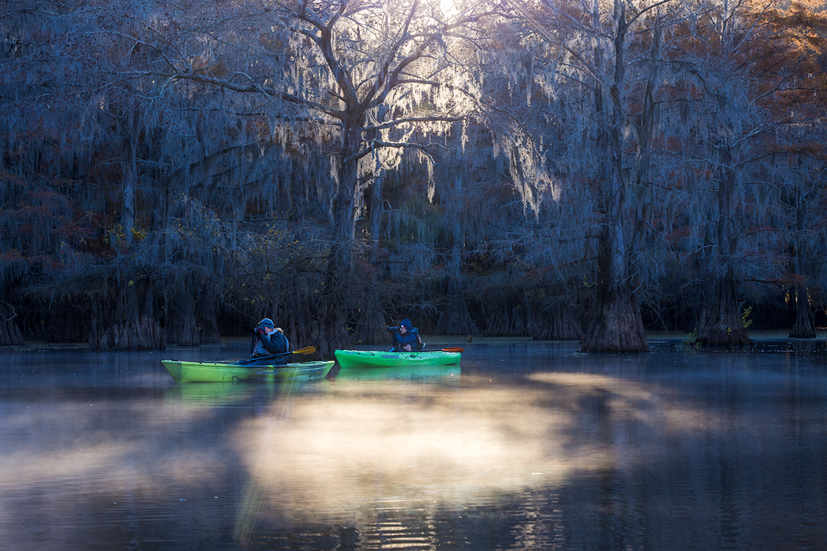 Photographers in kayaks photograph the Caddo Lake Texas bayou landscape photographing the cypress trees and backlit Spanish moss