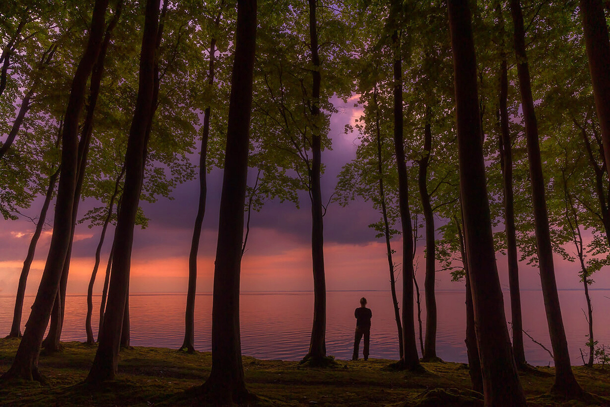 Silhouette of person standing among tall trees overlooking calm lake at pink and purple sunset representing rest and creative recovery from photographer burnout
