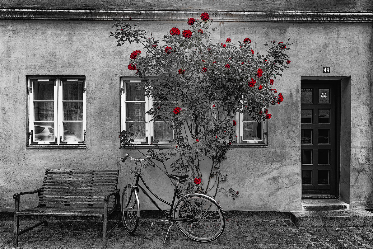Selective color fine art photograph of red roses against black and white European street scene with bicycle and bench showing artistic photography inspiration beyond landscape