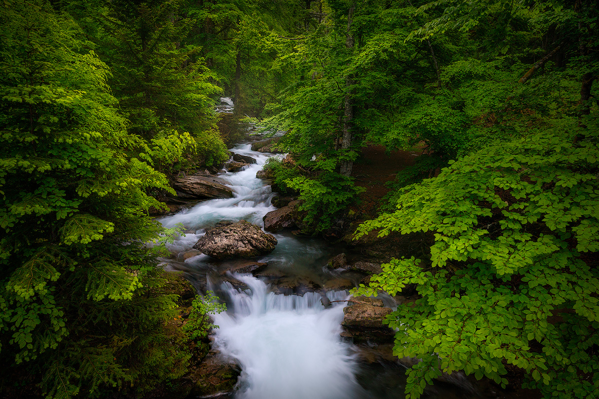 Artistic landscape photograph embodying photography inspiration quotes about finding extraordinary moments in ordinary places