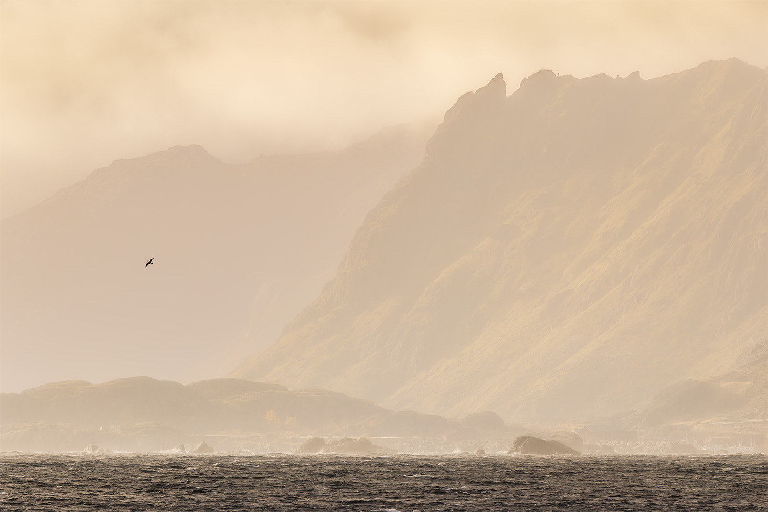 Bird soars on a misty morning during sunrise with jagged mountains in background