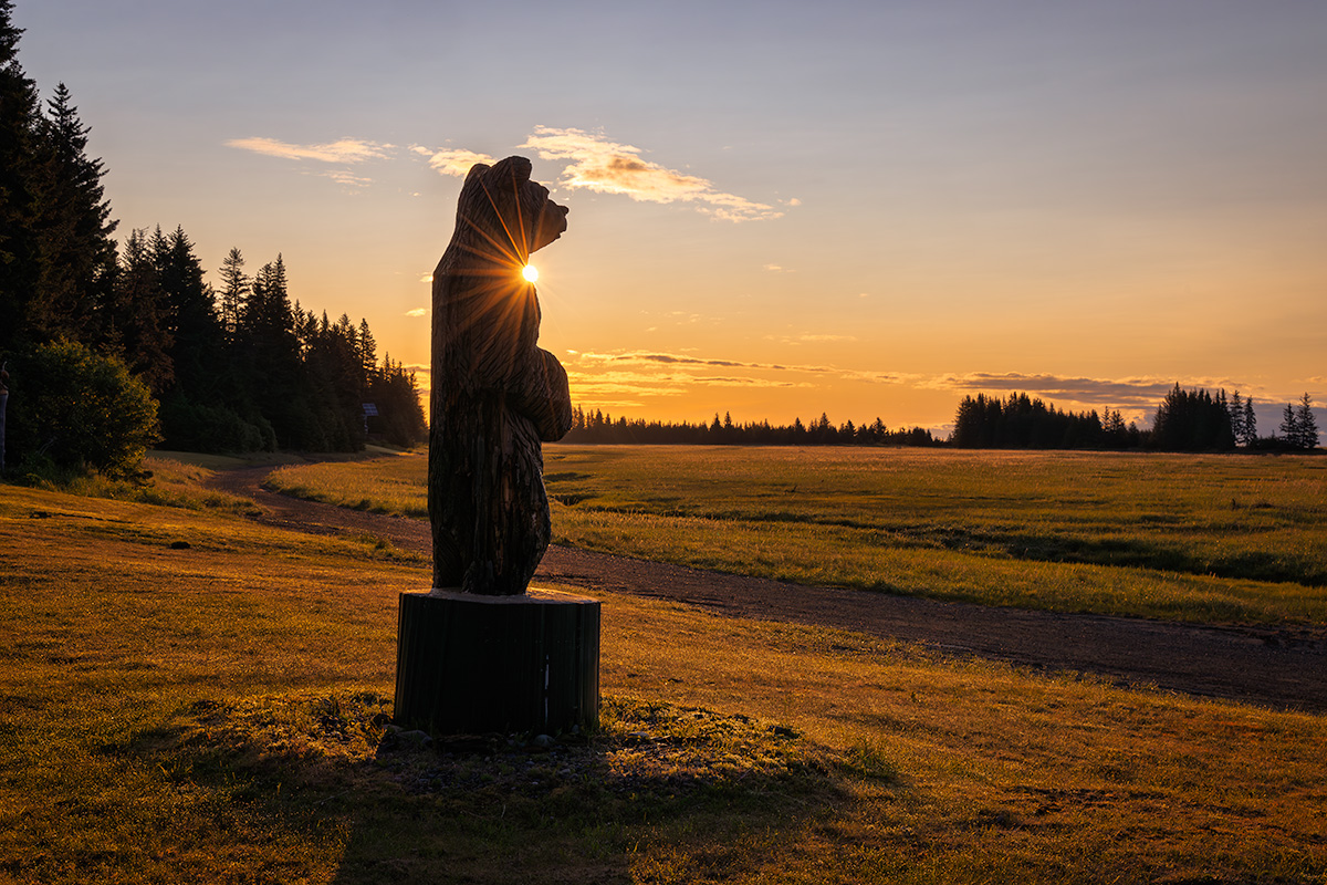 Welcome bear statue Silver Salmon Creek Lodge Lake Clark National Park Alaska fall brown bear photography workshop accommodation entrance autumn wilderness photography basecamp remote location