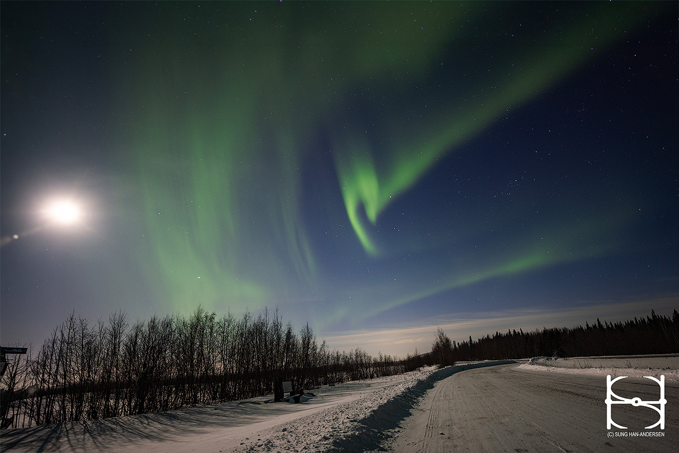 Aurora curtains over snowy road and birch trees under full moon during the Spring 2026 Northern Lights Workshop in Alaska
