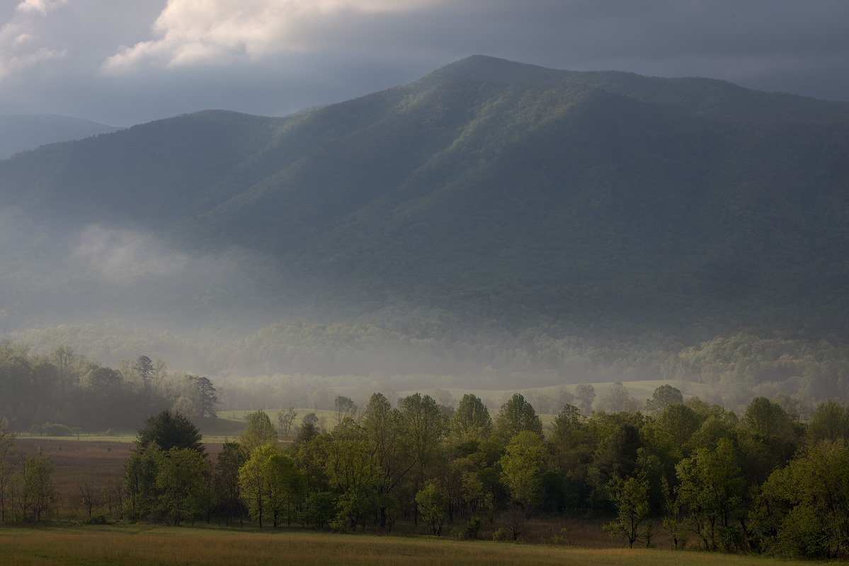 Telephoto compression stacking layers of fog trees and mountain ridges in a moody spring valley landscape