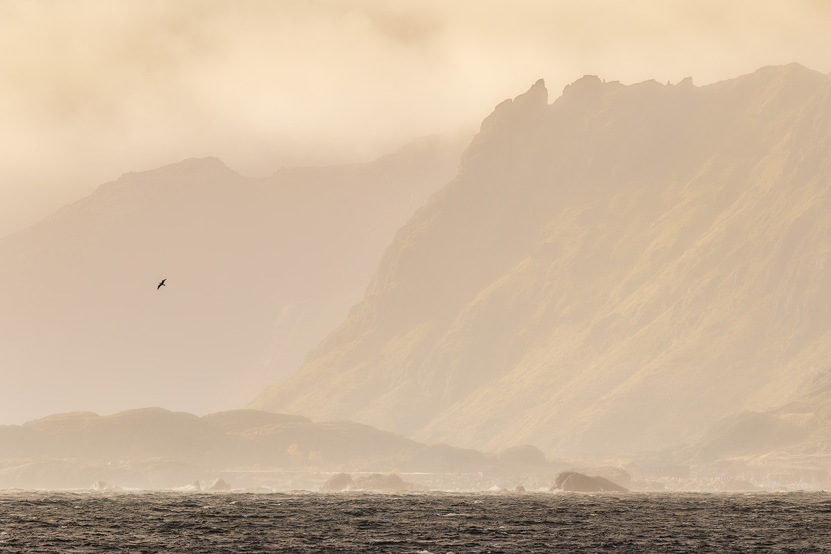 Telephoto lens compressing layers of coastal mountain ridges into stacked planes through atmospheric haze with lone seabird for scale