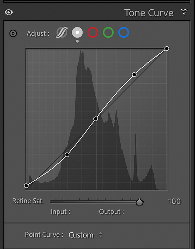 Tone curve adjustment panel in Lightroom showing precise tonal control for landscape photography post-processing