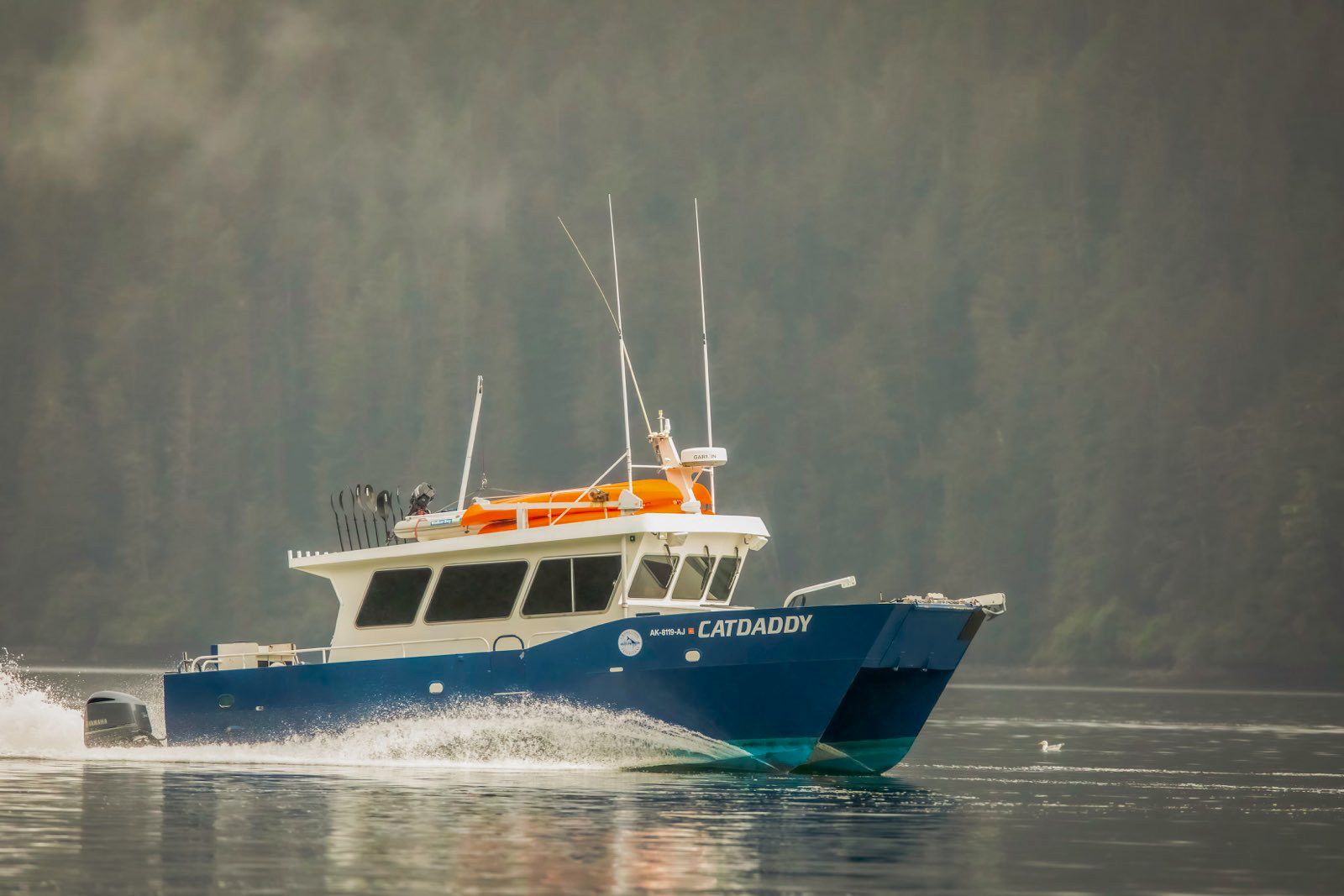 Whale watching boat Cat Daddy departing for bubble-net feeding tour Southeast Alaska