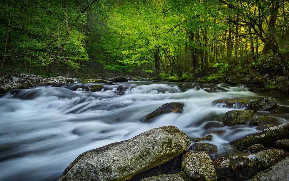 Wide-angle river scene at Tremont in Great Smoky Mountains with foreground rocks and silky water flowing through a lush green forest shot at f/16